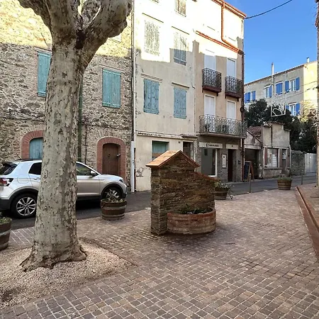 Appartement 2 Pieces Renove Au Coeur De Banyuls, Climatise, Proche - Fr-1-225c-157